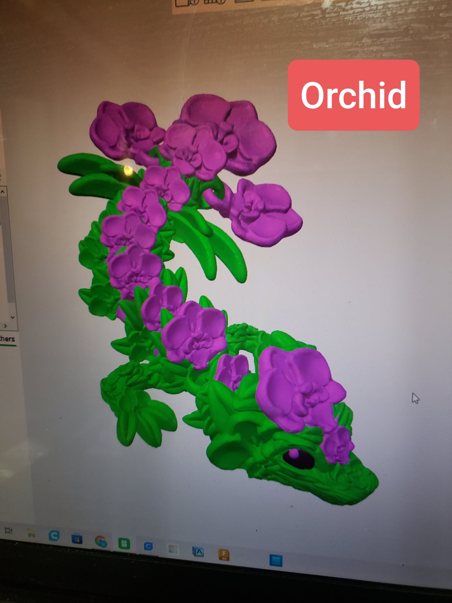 Orchid Taddling