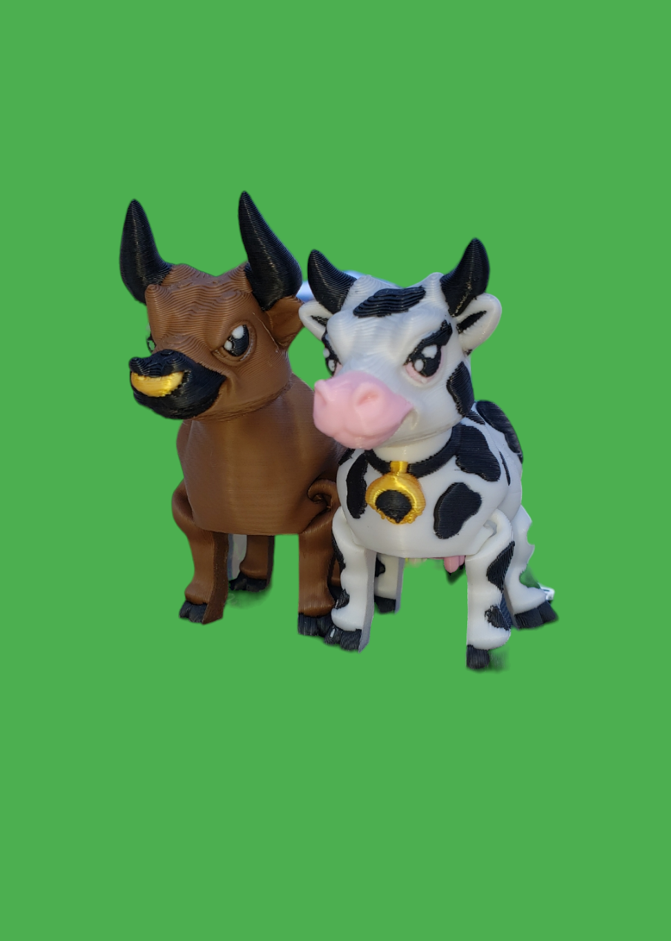 Cow/ Bull
