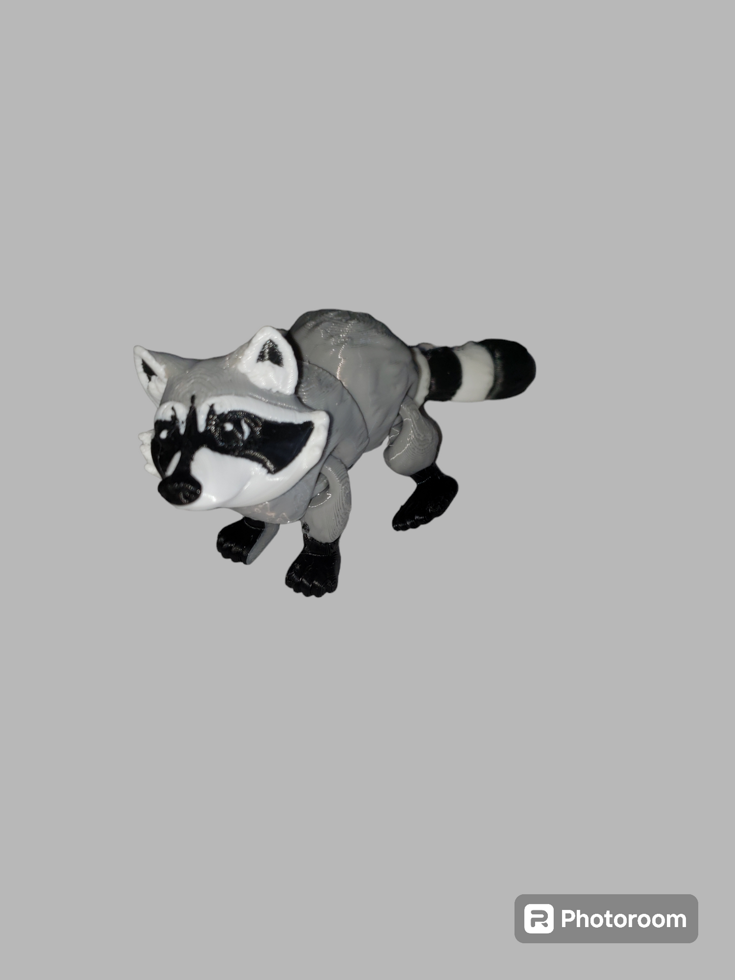 Racoon V2
