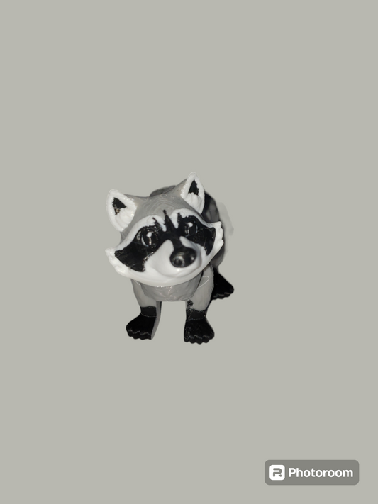 Racoon V2
